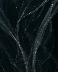 Flowing silver silk