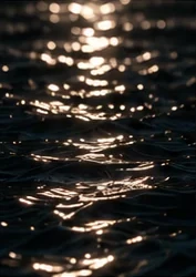 Moonlight on dark water